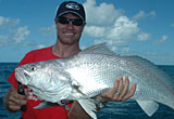 Jewfish