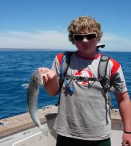 KGWhiting